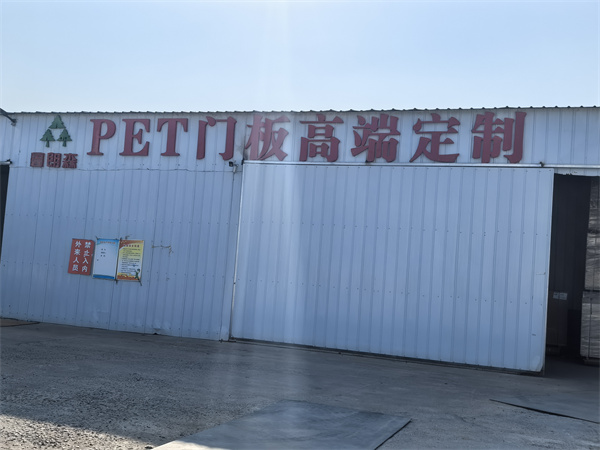 pet定制